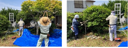 安全就業管理活動